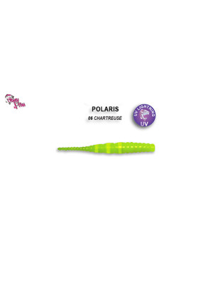 POLARIS 5 - 4.5 cm - 6 - SQUID