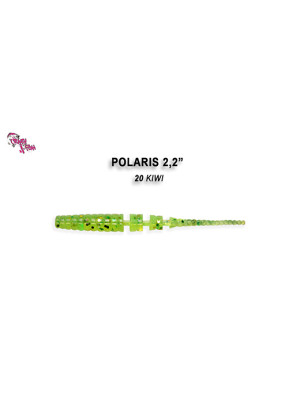 POLARIS 2-inch 17 - 5.5 cm - 20 - SQUID