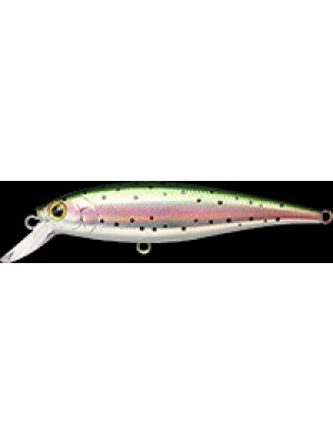 Pointer 78 SP - Laser Rainbow Trout