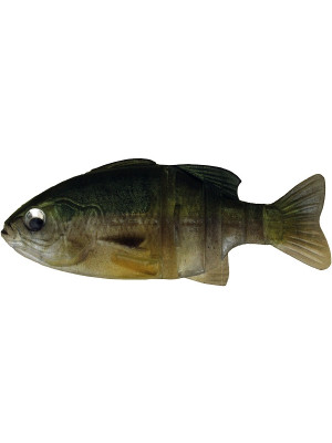 Javagill - S-425 Female Gill